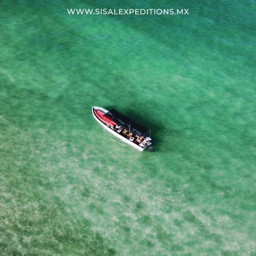 LANCHA SISAL EXPEDITIONS